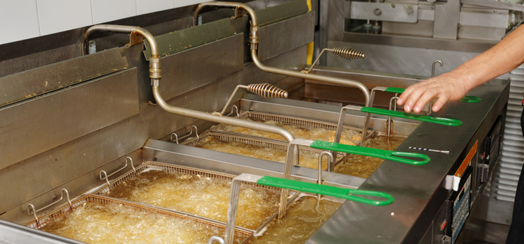 Commercial Fryer Repair in Penrith