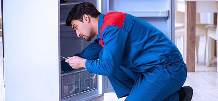 Freezer Repair Services in Penrith